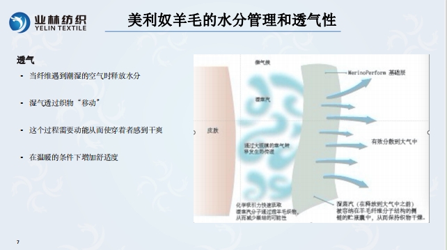 金狮贵宾会-宾至如归-尊贵-显赫